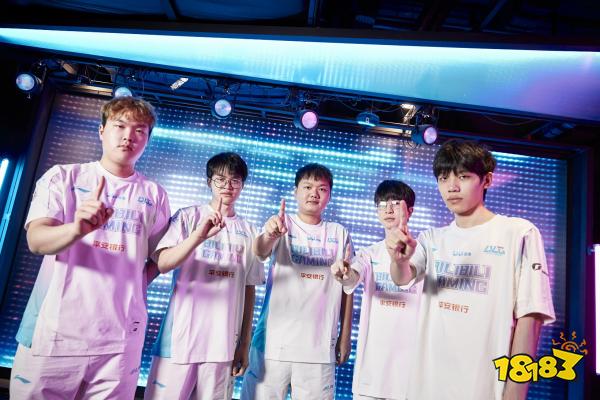 希望回到主 希望回到主