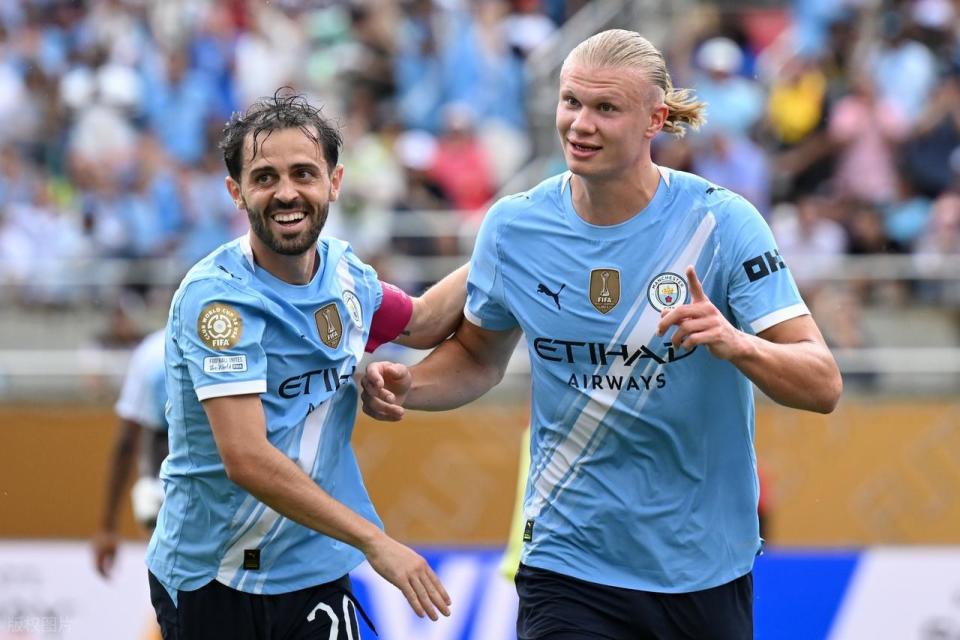 茵场与看台 茵场与看台